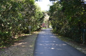 Enlarge photo 63
