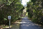 Enlarge photo 64