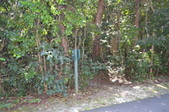 Enlarge photo 65