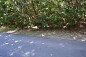 Enlarge photo 68