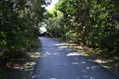 Enlarge photo 69