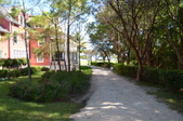 Enlarge photo 79