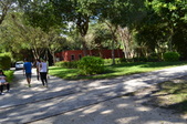 Enlarge photo 83