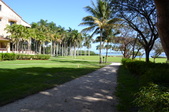 Enlarge photo 88