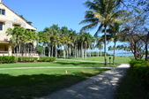 Enlarge photo 92