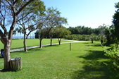 Enlarge photo 93