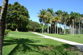Enlarge photo 96