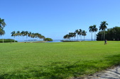 Enlarge photo 98