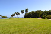 Enlarge photo 106