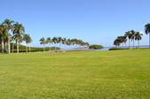 Enlarge photo 107