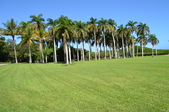 Enlarge photo 108