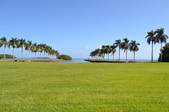 Enlarge photo 110