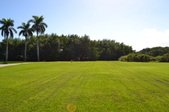 Enlarge photo 113