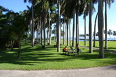 Enlarge photo 130