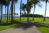 Enlarge photo 131