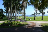 Enlarge photo 136