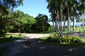 Enlarge photo 137