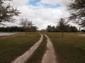 Enlarge photo 30