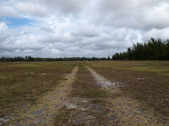 Enlarge photo 42