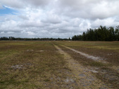 Enlarge photo 44