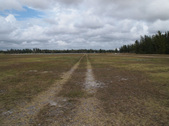 Enlarge photo 45