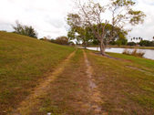 Enlarge photo 54