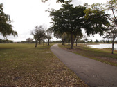 Enlarge photo 65