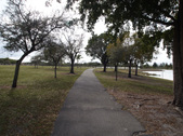Enlarge photo 67