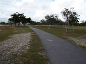 Enlarge photo 75