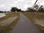 Enlarge photo 76