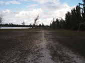 Enlarge photo 80
