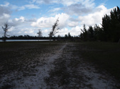 Enlarge photo 82