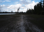 Enlarge photo 84