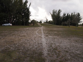 Enlarge photo 85