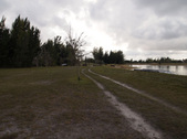 Enlarge photo 93
