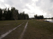 Enlarge photo 95