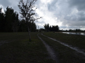Enlarge photo 96