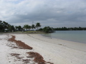 Enlarge photo 33