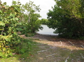Enlarge photo 38