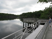 Enlarge photo 43