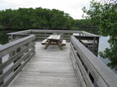 Enlarge photo 45
