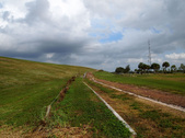 Enlarge photo 25