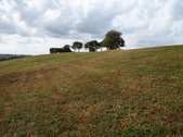 Enlarge photo 34