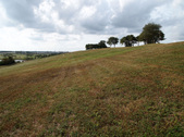 Enlarge photo 35