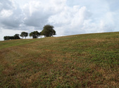 Enlarge photo 37