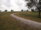 Enlarge photo 38