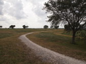 Enlarge photo 39
