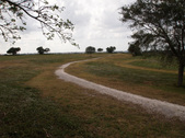 Enlarge photo 40