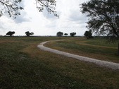 Enlarge photo 42