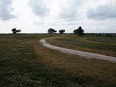 Enlarge photo 44